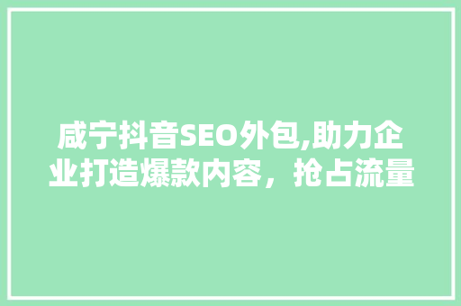 咸宁抖音SEO外包,助力企业打造爆款内容，抢占流量红利