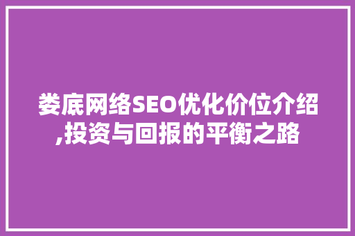 娄底网络SEO优化价位介绍,投资与回报的平衡之路