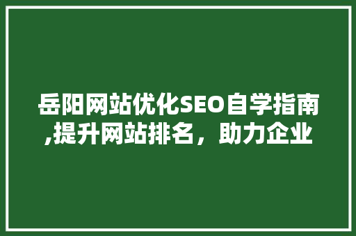 岳阳网站优化SEO自学指南,提升网站排名，助力企业腾飞