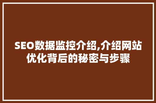 SEO数据监控介绍,介绍网站优化背后的秘密与步骤