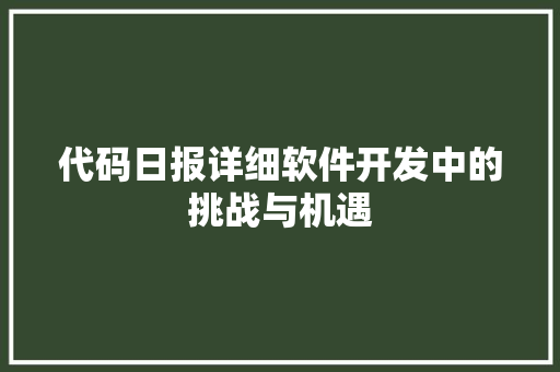 代码日报详细软件开发中的挑战与机遇
