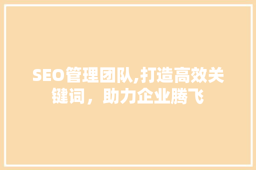 SEO管理团队,打造高效关键词，助力企业腾飞
