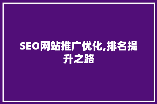 SEO网站推广优化,排名提升之路