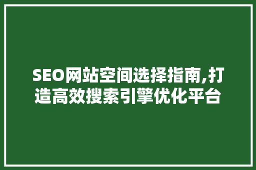 SEO网站空间选择指南,打造高效搜索引擎优化平台