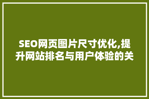 SEO网页图片尺寸优化,提升网站排名与用户体验的关键步骤