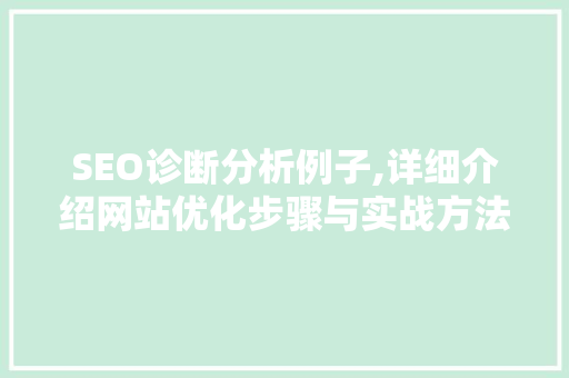 SEO诊断分析例子,详细介绍网站优化步骤与实战方法