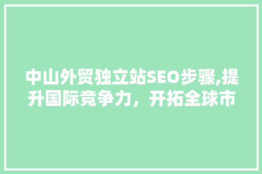 中山外贸独立站SEO步骤,提升国际竞争力，开拓全球市场