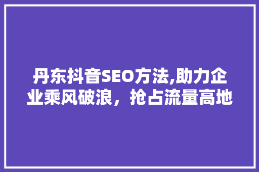 丹东抖音SEO方法,助力企业乘风破浪，抢占流量高地