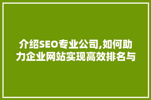 介绍SEO专业公司,如何助力企业网站实现高效排名与流量转化