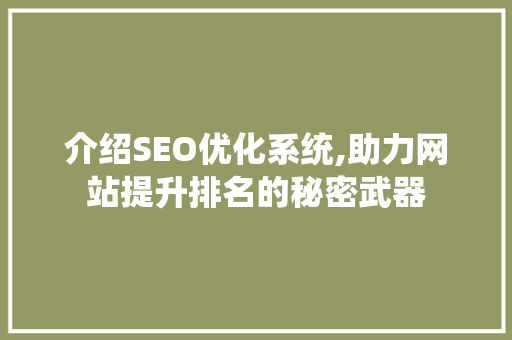 介绍SEO优化系统,助力网站提升排名的秘密武器