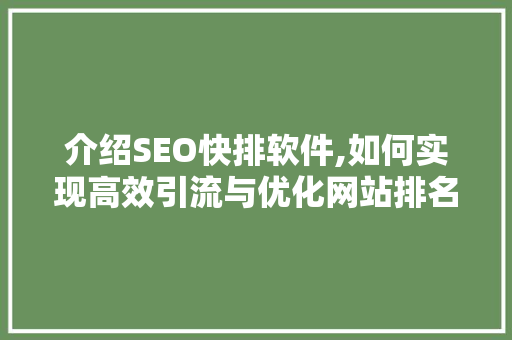 介绍SEO快排软件,如何实现高效引流与优化网站排名
