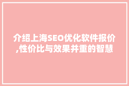 介绍上海SEO优化软件报价,性价比与效果并重的智慧选择