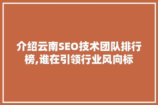 介绍云南SEO技术团队排行榜,谁在引领行业风向标