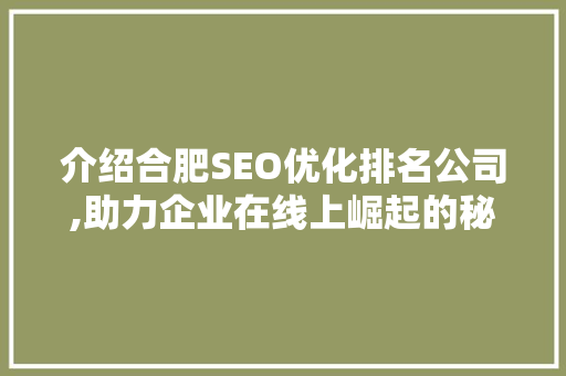 介绍合肥SEO优化排名公司,助力企业在线上崛起的秘密武器