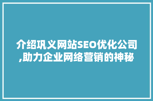 介绍巩义网站SEO优化公司,助力企业网络营销的神秘力量