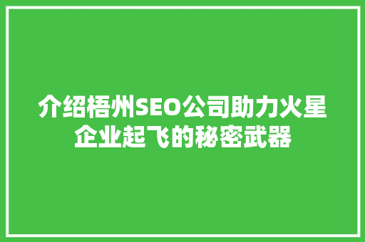 介绍梧州SEO公司助力火星企业起飞的秘密武器