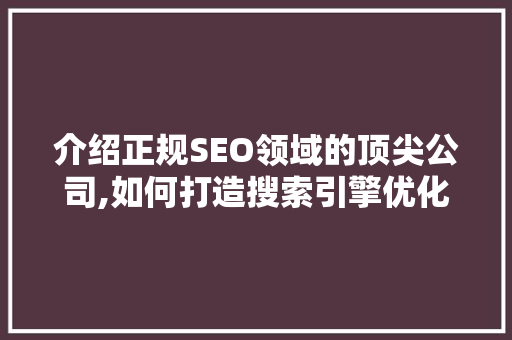 介绍正规SEO领域的顶尖公司,如何打造搜索引擎优化传奇