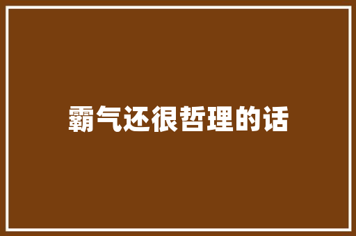 介绍青岛SEO,哪个技术好用，如何提升网站排名