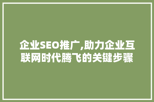 企业SEO推广,助力企业互联网时代腾飞的关键步骤