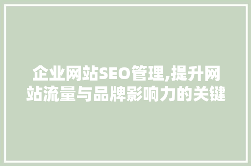 企业网站SEO管理,提升网站流量与品牌影响力的关键步骤