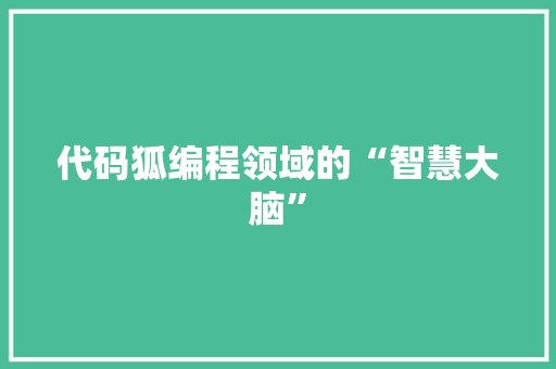代码狐编程领域的“智慧大脑”