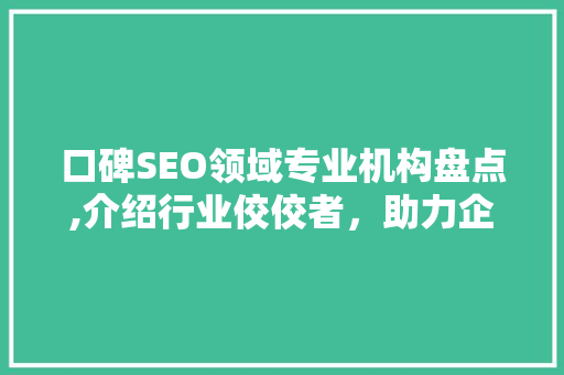 口碑SEO领域专业机构盘点,介绍行业佼佼者，助力企业网络营销腾飞