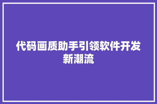 代码画质助手引领软件开发新潮流