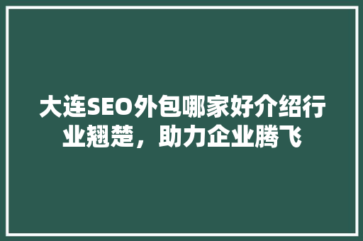大连SEO外包哪家好介绍行业翘楚，助力企业腾飞