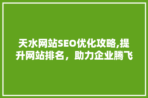 天水网站SEO优化攻略,提升网站排名，助力企业腾飞