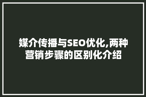 媒介传播与SEO优化,两种营销步骤的区别化介绍