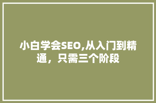 小白学会SEO,从入门到精通，只需三个阶段