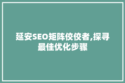 延安SEO矩阵佼佼者,探寻最佳优化步骤