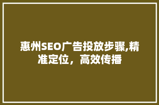 惠州SEO广告投放步骤,精准定位，高效传播