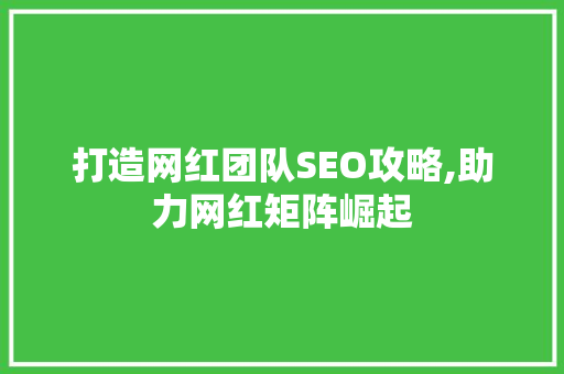 打造网红团队SEO攻略,助力网红矩阵崛起