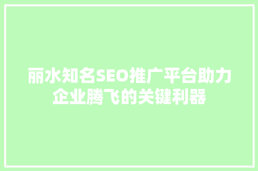 丽水知名SEO推广平台助力企业腾飞的关键利器