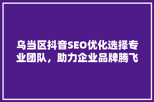 乌当区抖音SEO优化选择专业团队，助力企业品牌腾飞