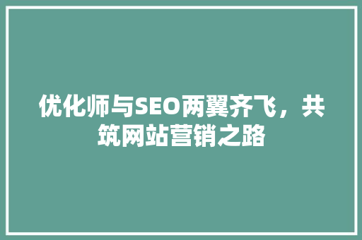 优化师与SEO两翼齐飞，共筑网站营销之路