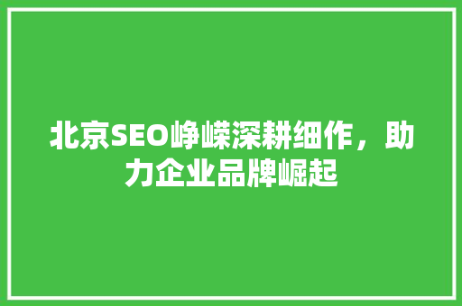 北京SEO峥嵘深耕细作，助力企业品牌崛起