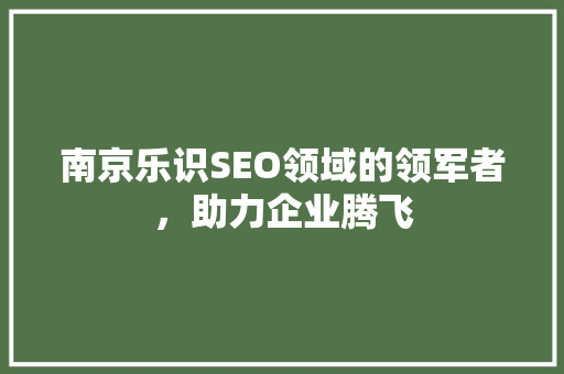 南京乐识SEO领域的领军者，助力企业腾飞