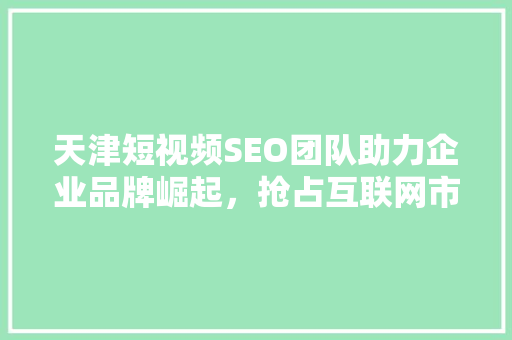 天津短视频SEO团队助力企业品牌崛起，抢占互联网市场制高点