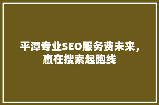 平潭专业SEO服务费未来，赢在搜索起跑线