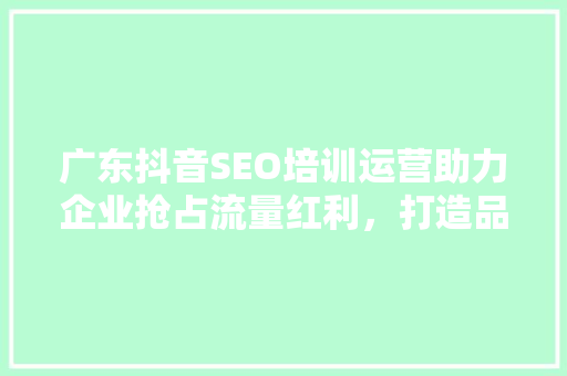 广东抖音SEO培训运营助力企业抢占流量红利，打造品牌新高度
