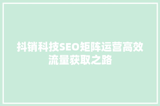 抖销科技SEO矩阵运营高效流量获取之路
