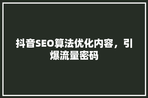 抖音SEO算法优化内容，引爆流量密码