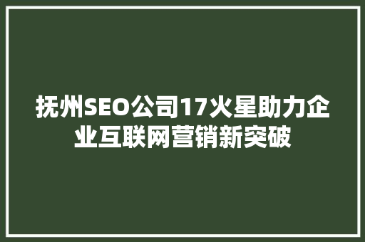 抚州SEO公司17火星助力企业互联网营销新突破
