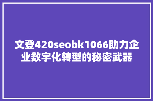 文登420seobk1066助力企业数字化转型的秘密武器