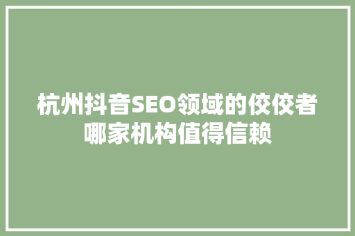 杭州抖音SEO领域的佼佼者哪家机构值得信赖