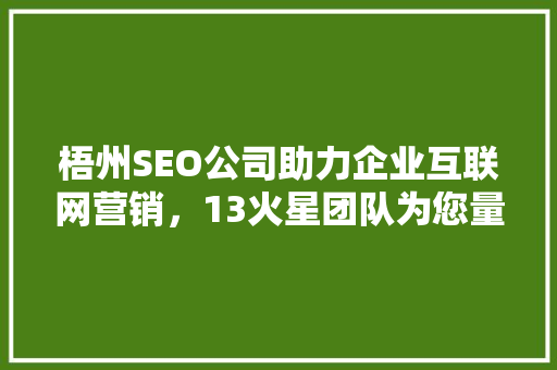 梧州SEO公司助力企业互联网营销，13火星团队为您量身定制解决方法