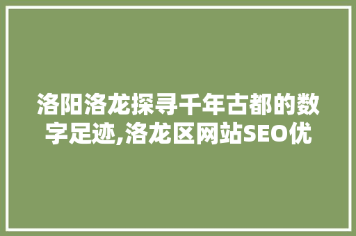 洛阳洛龙探寻千年古都的数字足迹,洛龙区网站SEO优化之路