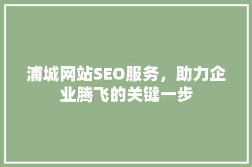 浦城网站SEO服务，助力企业腾飞的关键一步